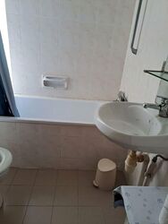 Pandan Valley (D21), Condominium #560571011
